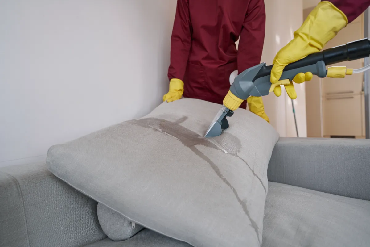 Two workers on a rubber gloves steam cleaning the couch.
